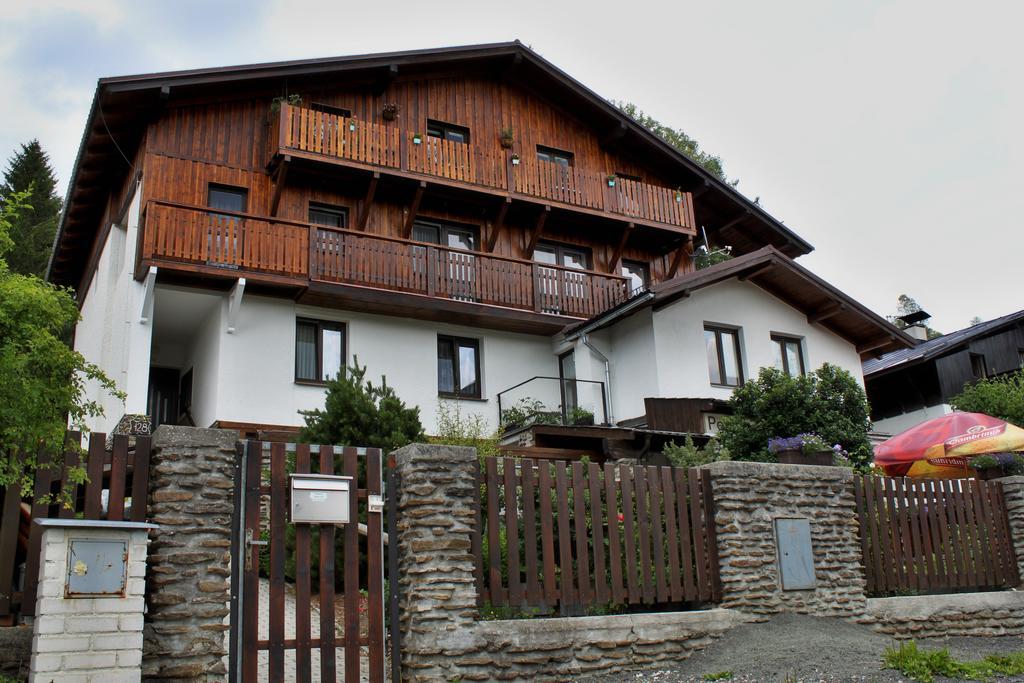 Ubytovani Greiner Hotel Železná Ruda Zewnętrze zdjęcie