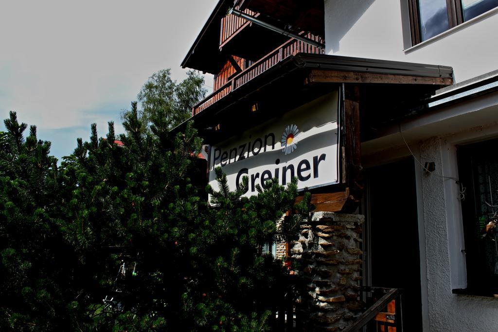 Ubytovani Greiner Hotel Železná Ruda Zewnętrze zdjęcie