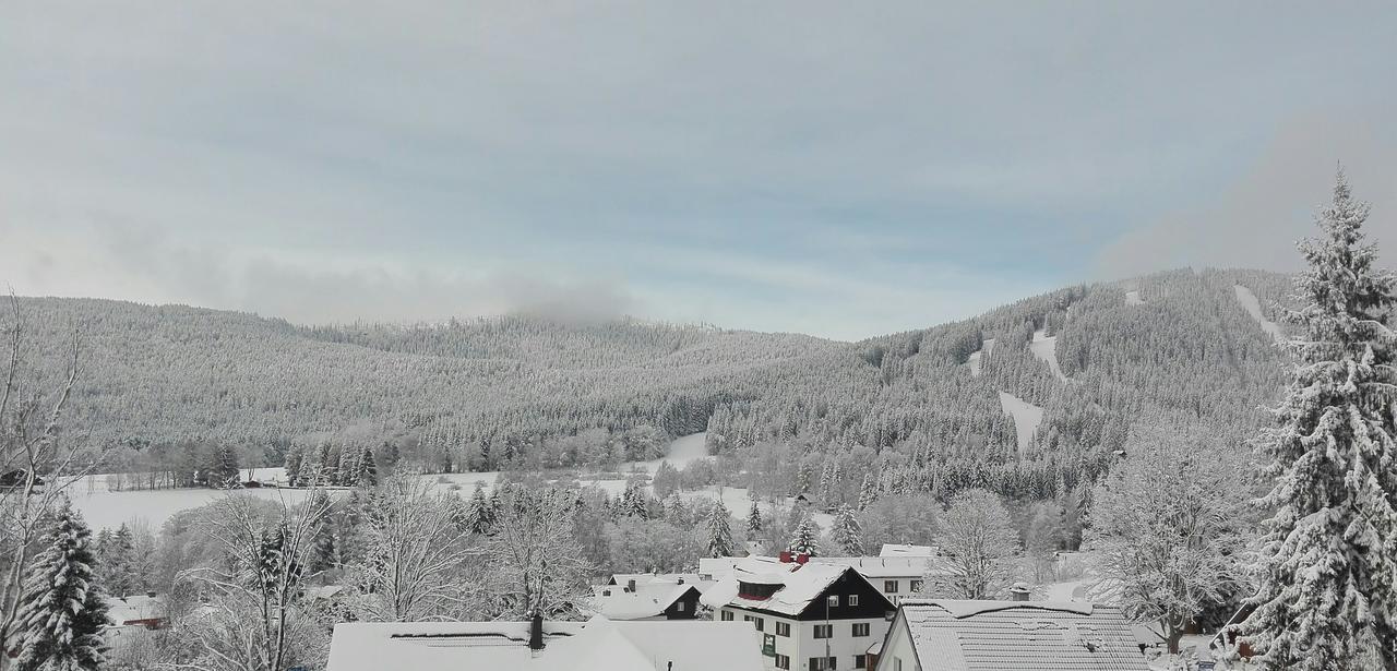 Ubytovani Greiner Hotel Železná Ruda Zewnętrze zdjęcie